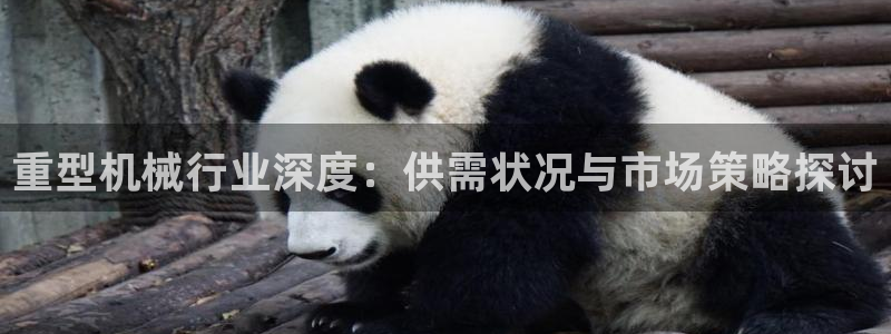 龙八国际优惠券有什么用