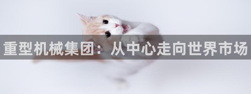 龙八国际网站多少