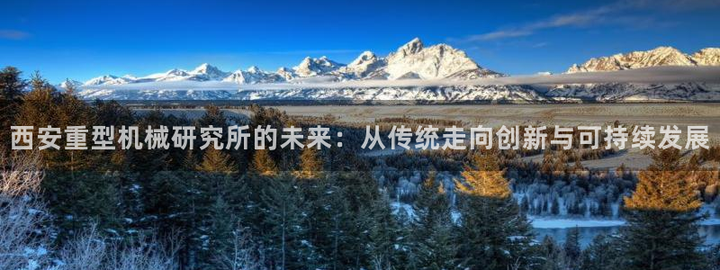 龙八国际服官网站