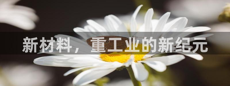 龙八国际头号玩家是谁啊