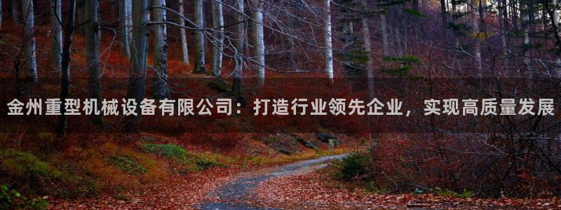 龙八国际娱乐二维码