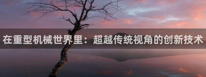 龙八国际b48点tv