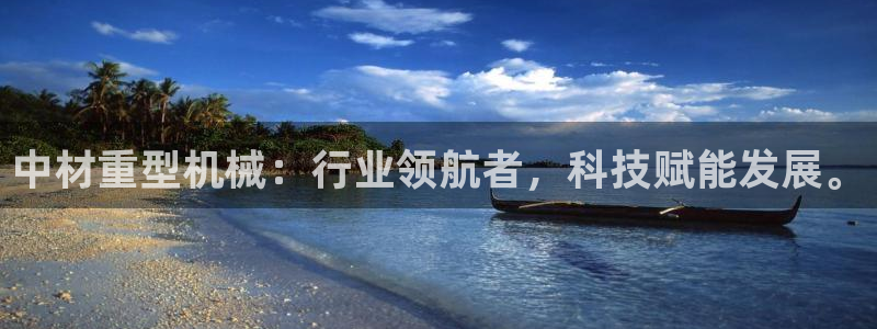 石家庄龙八国际老板是谁