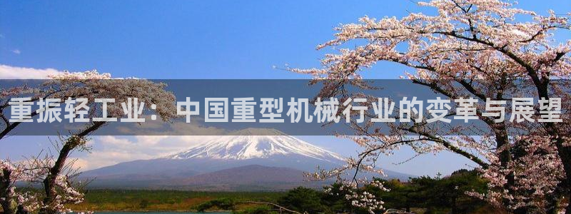 菲律宾龙八国际