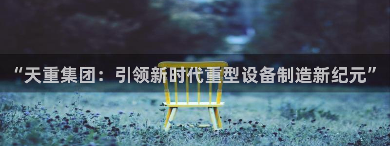 龙八国际有限责任公司