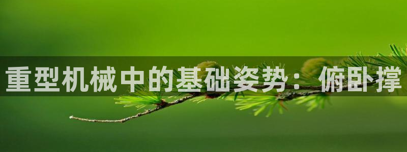 龙八国际官网安卓