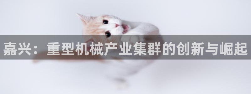 下载龙八国际大片