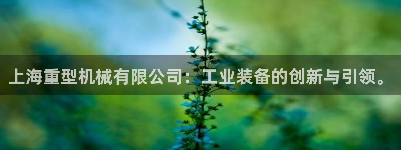 龙八国际app联系方式