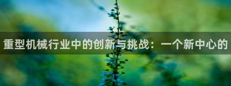 龙八国际官首页