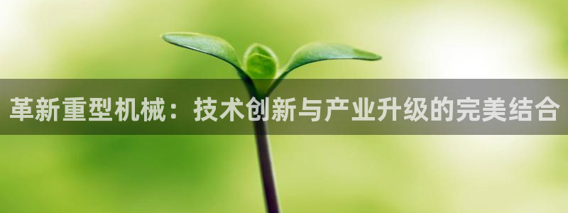 龙八国际网页long123