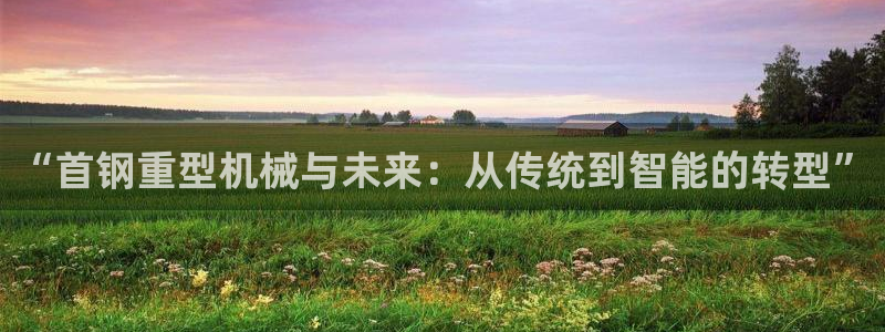 龙八国际老虎机下载