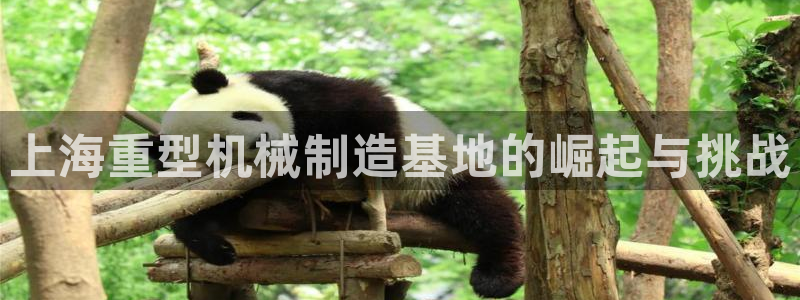 龙八国际国际娱乐官网