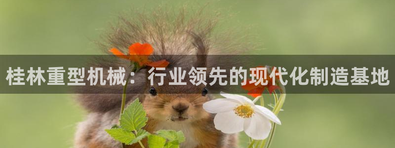 龙八国际版游戏