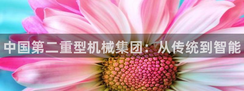 龙八国际app官网