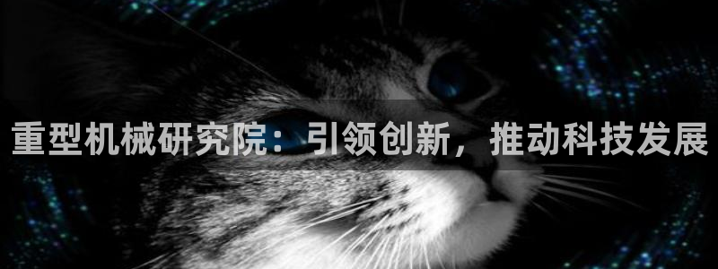 龙八国际娱乐官方网址