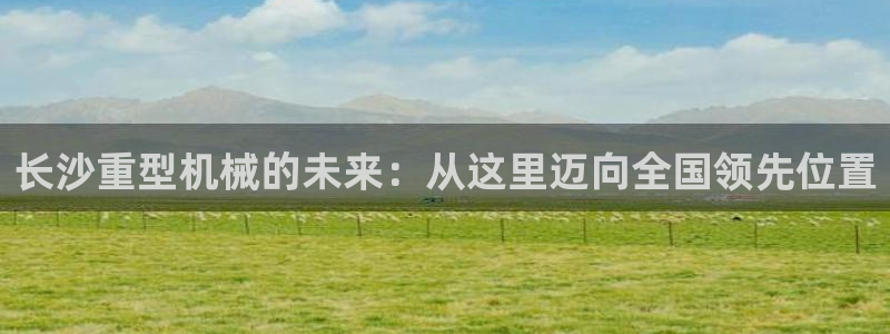 龙八国际是缅甸的吗