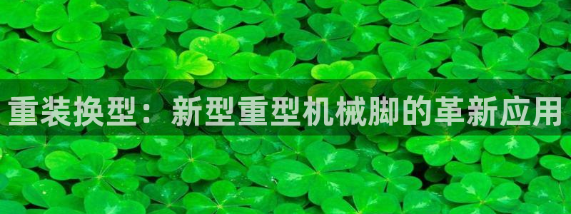 龙八国际网站手机版