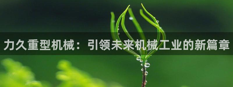 龙八国际网页登陆