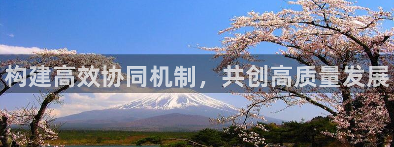 龙八国际官网