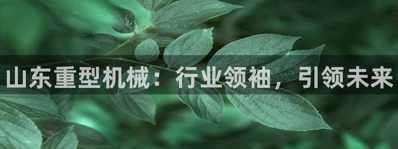 龙八国际app是什么