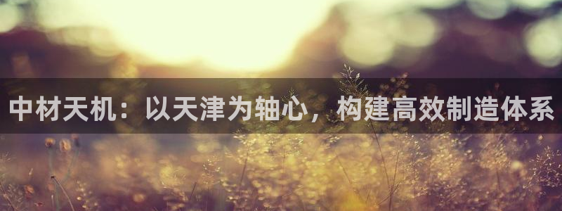 龙八国际棋牌