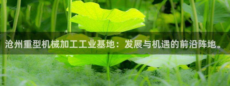 龙八国际娱乐老板是谁