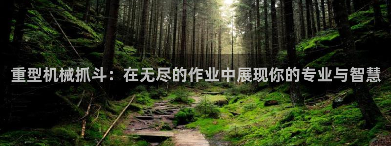 龙八国际官网网站