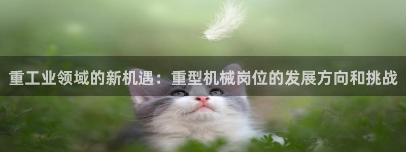 龙八国际在哪里啊