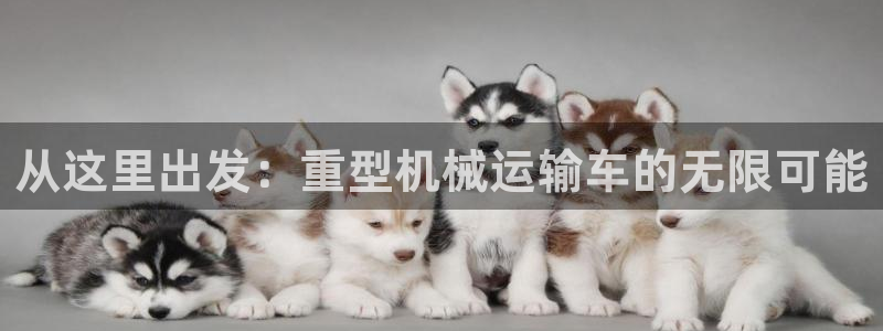 龙八国际服官网入口