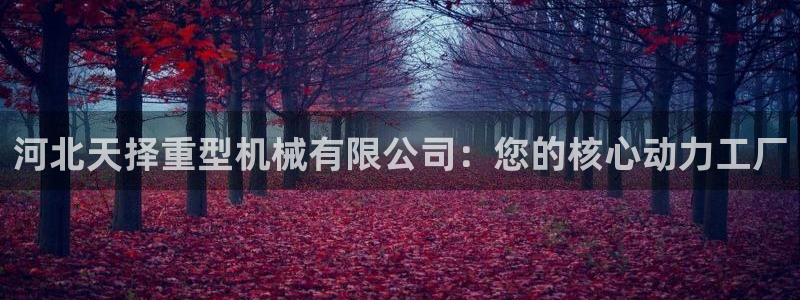 龙八国际网页long8868