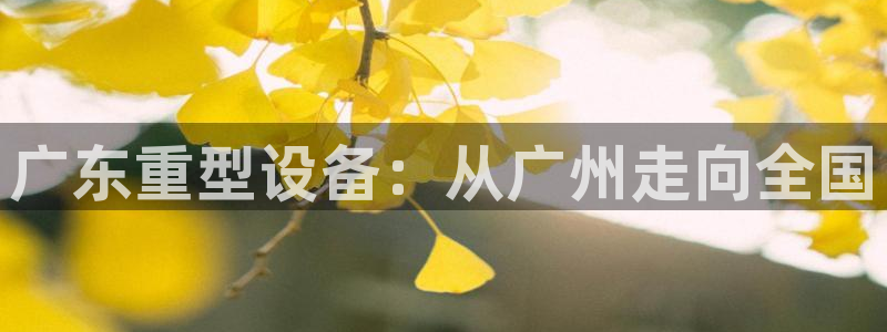 龙八国际pt客户端下载