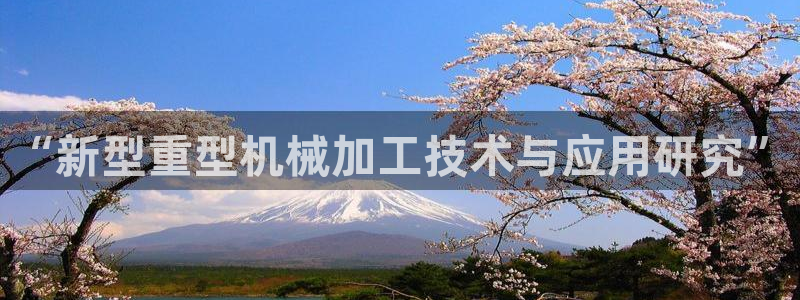 龙八国际官方网站pt
