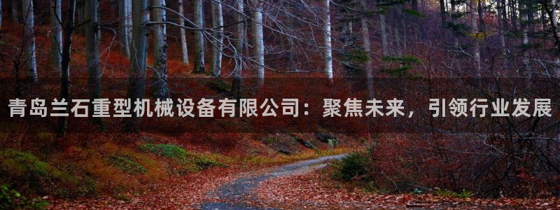 龙八国际集团有限公司