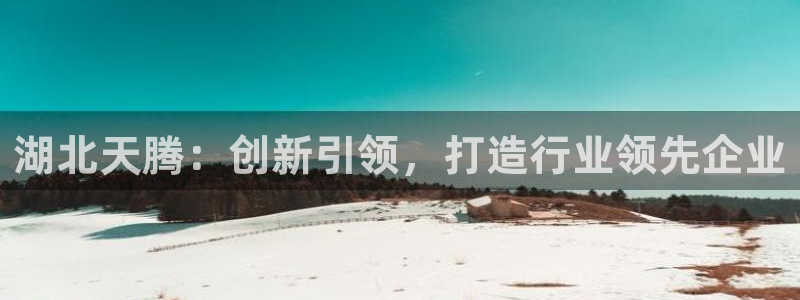 龙八国际城网站