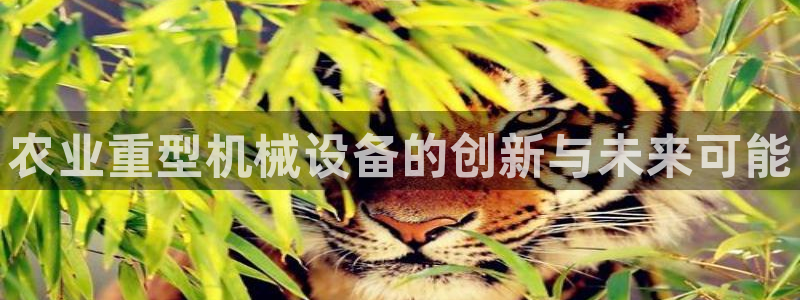 龙八国际什么游戏给钱