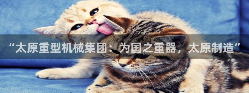 龙八国际优惠